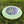 OH Performance Frisbee from Innova