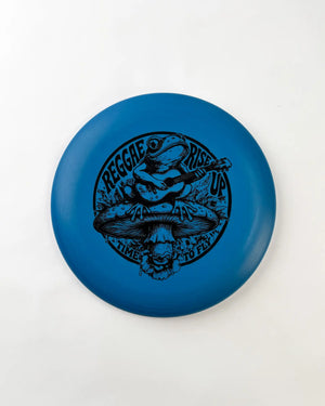 Putter Disc from Innova