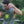 Cursive Camo Hat